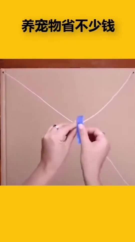 拿衣架给宠物改装帐篷,学会了这招之后,养宠物省下不少钱