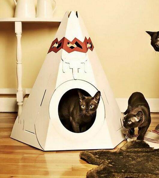 铲屎官给小家伙准备的玩具,和自制的猫窝,脑洞奇特的避风港湾!