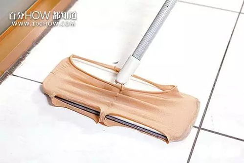 家有宠物的快收藏 教你快速清理宠物的毛发