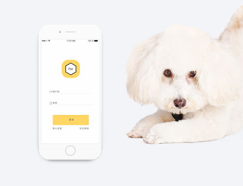 一款宠物用品app