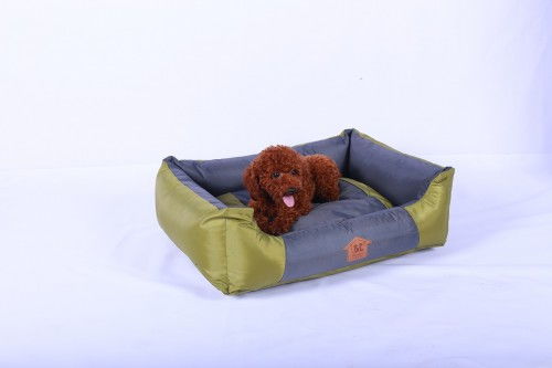 欧佩贝贝宠物用品 给宠物baby们贴心呵护