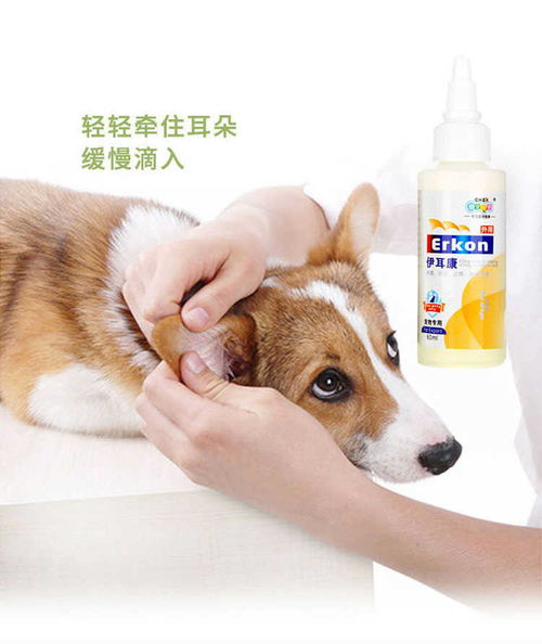滴耳油伊耳康狗狗猫咪滴耳液除耳螨泰迪洗耳液猫狗洗耳水宠物用品