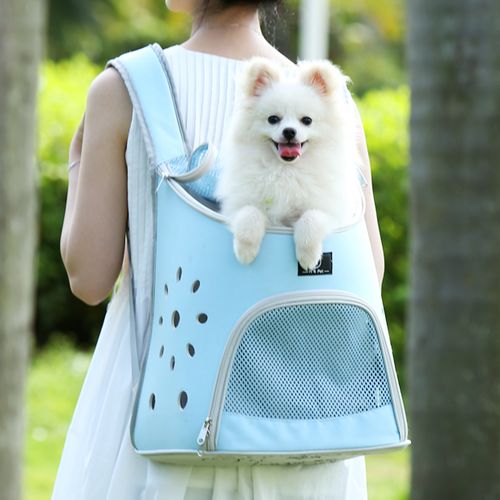 时尚宠物用品,让你家里的宝贝美美的