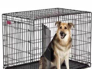 图 个人 9成新美国中西低碳钢狗窝300转让 深圳宠物食品 用品