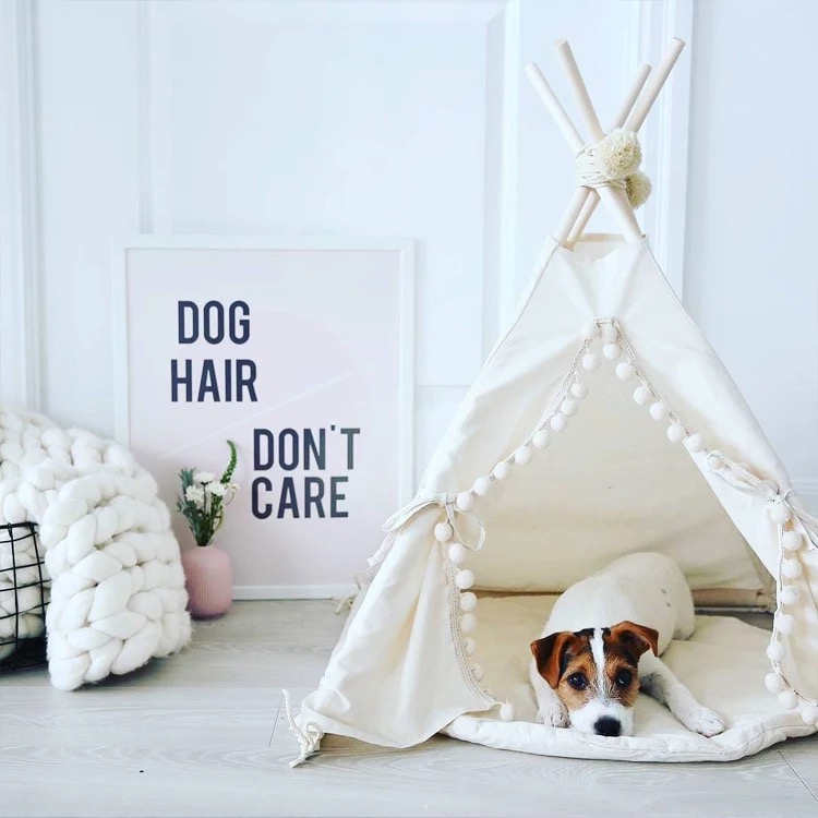 打造爱宠专属空间 宠物衣架与收纳架的魅力