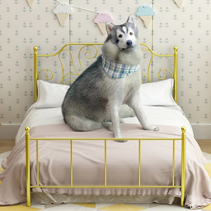 打造宠物公主梦 铁艺宠物床与全套生活用品的温馨指南