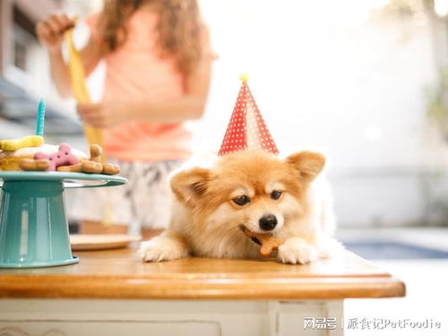 肉类副产品做宠物零食 在发达地区引领宠物行业新风向